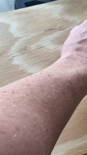 DIY Arched Bookcase - Plans and YouTube Tutorial coming soon - Behind the Scenes on IG Stories. Similar bookcases can cost over $2000, the total cost of materials for this build = $300 all made from stuff you can get at your local hardware store. . . #diy #diyprojects #diyproject #asmr #asmrcommunity #woodworking #archtopbookcase #bookcase #diybookcase #madefromscratch #emyludesigns #makersoftiktok #fypシ #homedepotproject #bookshelf #shelves #cabinet