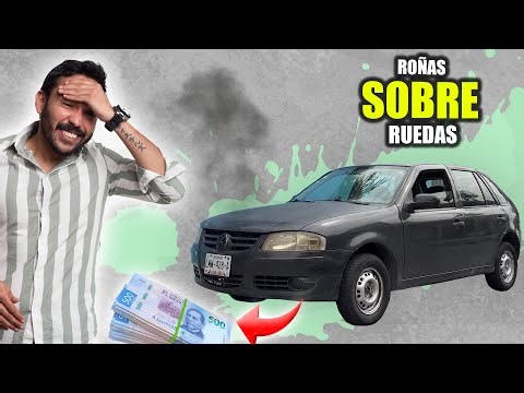 I bought a pointer that ran hot and earned $20,000 | ROÑAS SOBRE RUEDAS