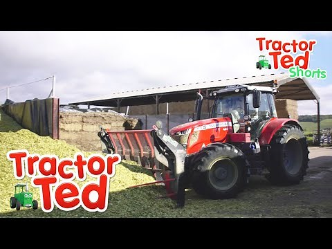 Lets Look At How They Store The Maize 🌾 | Tractor Ted Shorts | Tractor Ted Official Channel