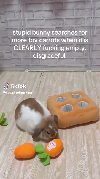 Stupid Bunny's Search for Toy Carrots