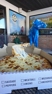 Only in Wisconsin do you attempt a cheese pull at -27° (without wind chill) and it actually works! 🧀🍕🥶 #burnettdairy #patria #pizza #cheesepull #wisconsin #defyinggravity | Burnett Dairy Grantsburg Cheese Store