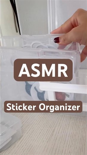 #2025 #smallbusiness #businessdiaries #stickerart #orgnization #organize #stationary #stickers #art