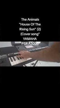 Yamaha PSR-A3000 Plays: The Animals | House of The Rising Sun (2) (Recreation) - by David Hormadaly