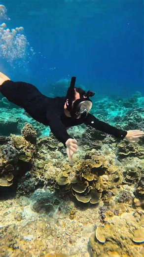 You NEED This for Beach Trips This Summer 🏖️ #underwater #beach #summer #beach #summer #usa