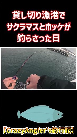 A day when we caught cherry salmon and Atka mackerel at a private fishing port #shorts #Hokkaido ...