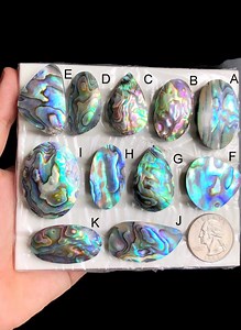 Selected Abalone Shell Cabochon, Natural Sea Shell Handmade Gemstone for Jewelry Making, Hand Polished Cabs Pendants Jewelry LOT-333 - Etsy
