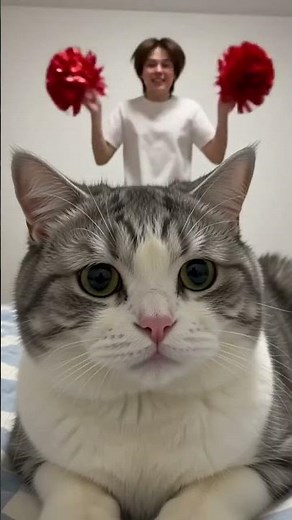 😂 Funniest Cat Videos 2026 | Try Not To Laugh Challenge #Shorts