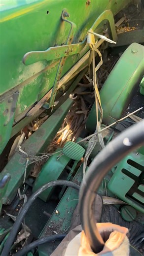 163K views · 2.6K reactions | Picking corn with the 730 #johndeere | Deandeere4020 | Facebook