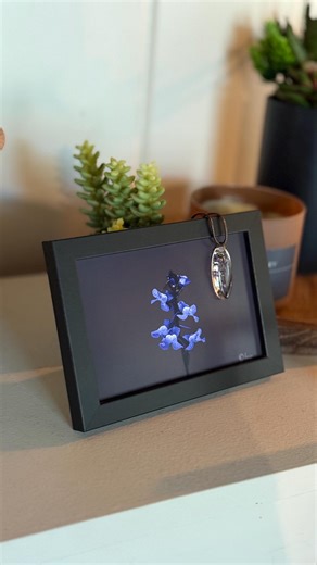 Wild Blue Toadflax Pendant + Macro Nature Print - Etsy