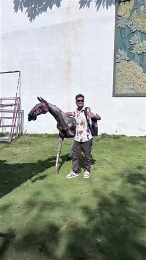 IIT Hyderabad Students Life 🔥 Campus Tour, Hostels & Daily IIT Vibes 🎓 #IITHyderabad #IITH #IITLife