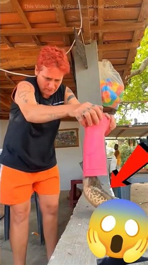 #pets #support #funny #comedy #bhojpuri #viralvideo #automobile