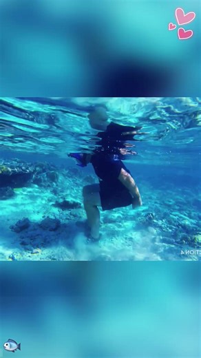 Feeding Time: How to Feed Catfish and Fish Properly