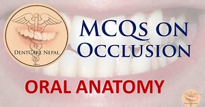 MCQs on Occlusion - Oral Anatomy