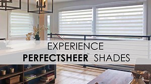 PerfectSheer Shades