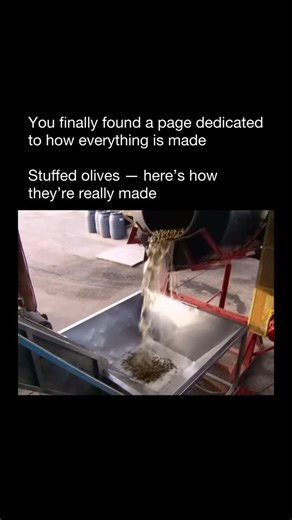 How Everything Is Made on Instagram: "people think stuffed olives are prepared by hand — but in reality, they’re the result of a surprisingly precise industrial process. After harvesting, olives are cured in brine to remove their natural bitterness. Once ready, they pass through high-speed pitting machines that push out the pit without damaging the fruit. Immediately after, specialized nozzles inject fillings like pimento, garlic, or cheese directly into the hollow center. The olives are then se