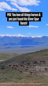 The Worlds Greatest Horseback Vacation! 6 Days 5 Nights in Medicine Lodge, Idaho at the World Famous Silver Spur Ranch Idaho! All Inclusive from pick up to drop off from Idaho Falls Regional Airport. Designed for the experienced rider. Solo riders are very welcome! 50% of our guests arrive solo and make friends on the trail. Spots fill quickly, don’t miss your chance to experience the trip of a lifetime! | Silver Spur Ranch Idaho