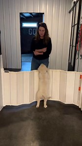 995K views · 5.2K reactions | ➡️The no-jumping method that works in...