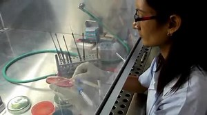 File:The Global Health Security Agenda.webm - Wikimedia Commons