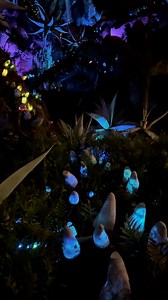 59K views · 1.3K reactions | Enjoy a walk around Pandora – The World of Avatar at Disney's Animal Kingdom! Since it's rarely open at night, I took some time to wander around and capture it so everyone can see it. I even walked through the Flight of Pasage queueu. #waltdisneyworld #disneysanimalkingdom #seewdw | See WDW | Facebook