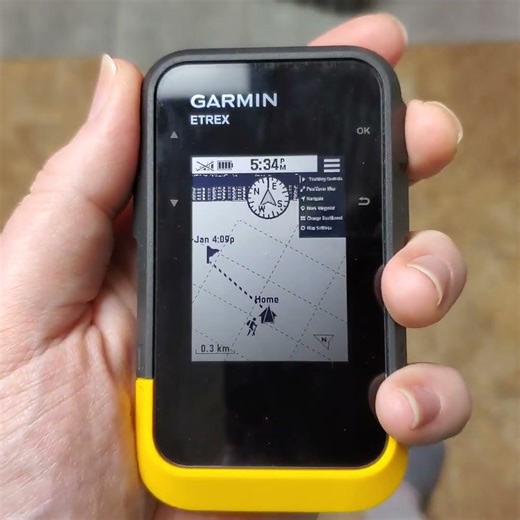 Garmin eTrex SE V4.24 dashboard compass bug