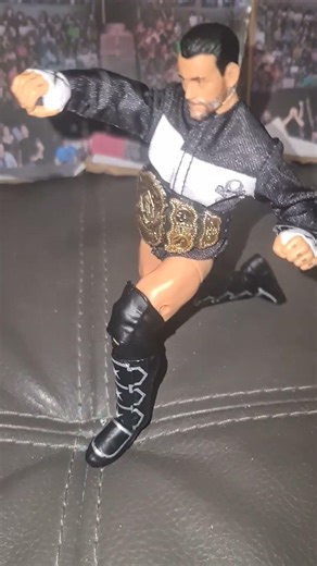 Just got a cm punk elite series 124 figure for easter