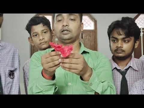 Chromatography in chemistry laboratory 💯🤗👨‍🔬