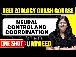 NEURAL CONTROL AND COORDINATION in 1 Shot: All Concepts, Tricks & PYQs | NEET Crash Course | Ummeed