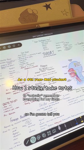 Effective Study Tips for Medical Students