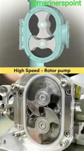 Rotary Pump