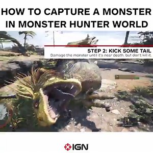 We show you just how easy it is to trap a monster in Monster Hunter: World!! For more help with Monster Hunter: World, check out our Wiki guide!: http://www.ign.com/wikis/monster-hunter-world | IGN