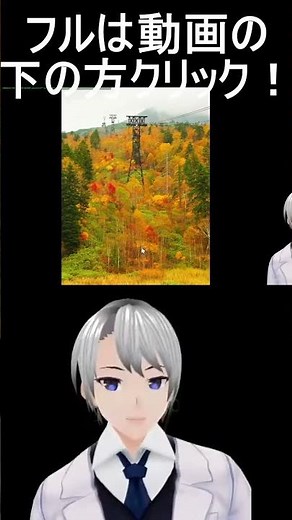 【日本一早い】 #紅葉 #北海道 #旅行 旭岳ロープウェイ彩鮮やか