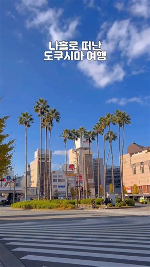 류필 | 일상을 동화처럼 채우다❣️ | 현실적인 도쿠시마 혼자 5박 여행 (총경비 공개) 처음부터 밝히고 가자면 마시고 먹고 해야 여행이죠 혼자간 여행 + 히와사 여행까지 했으니 경비가 많이 나온 3박4일 친구랑 여행한다면 70만원 이하도 가능할 듯 해요 호스텔2박 / 호텔3박 :... | Instagram