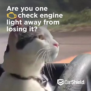 Your car doesn't care about your budget, but we do! CarShield's flexible plans start at $99/mo with 24/7 roadside assistance included. | CarShield