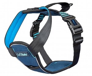 Carsafe Crash Tested Dog Harness | Company Of Animals US
