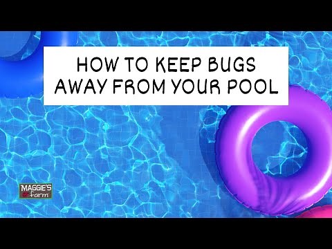 How to Keep Bugs Away from Your Pool