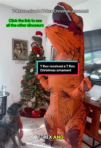 Even a T Rex love’s Christmas and what better than receiving a T Rex Dinosaur Christmas ornament from 2 of his fave besties @Heather & Sam @Concerned_Kitty the T Rex ornament is a RAWRRRing perfect addition to the dinosaur Christmas tree. This inflatable T-REX dinosaur costume is hilariously fun!#inflatablecostume #dinosaurcostume #inflatabletrexcostume #halloweencostume #inflateable