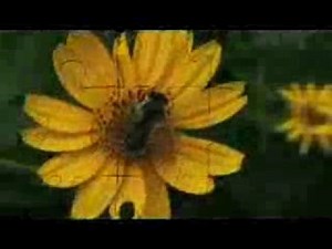 Zeitgeist: Addendum (11 of 13)