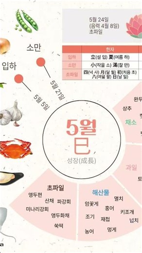 새해기념 2026년 열두달 절기 식재료 달력✨️무료다운로드 #koreanfood #제철달력