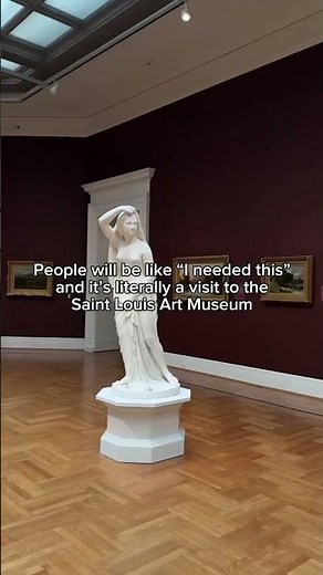 "I needed this" and it's just a trip to the Saint Louis Art Museum