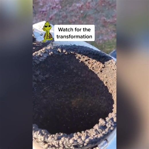 No Chimney cap? WATCH OUT ❗️❗️ Did you know that over 25,000 chimney fires occur annually! Simple solution for that : ✅ A Chimney cap ✅ Yearly basic Chimney cleaning Book today | Top Chimney | Facebook