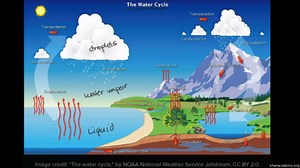 The water cycle