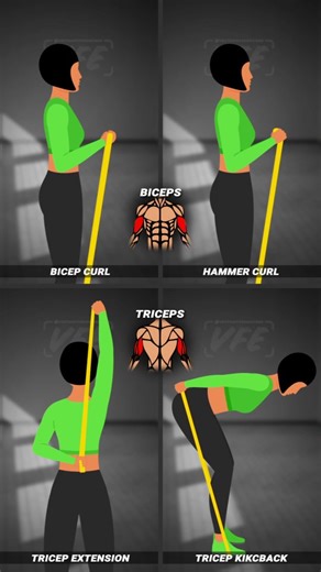 Vector Fitness Exercises on Instagram: "💪 4 RESISTANCE BAND EXERCISES FOR ARMS! Train both biceps and triceps anywhere — all you need is one band 🔥 ▫️ BICEPS (front of the arm) ✅ Band Bicep Curl → targets biceps brachii ✅ Band Hammer Curl → adds focus to brachialis & brachioradialis ▫️ TRICEPS (back of the arm) ✅ Band Overhead Extension → works long head of triceps ✅ Band Kickback → isolates lateral head for definition ⚡️ HOW TO USE: Perform 3 sets × 12–15 reps with slow, controlled motion. 🔬