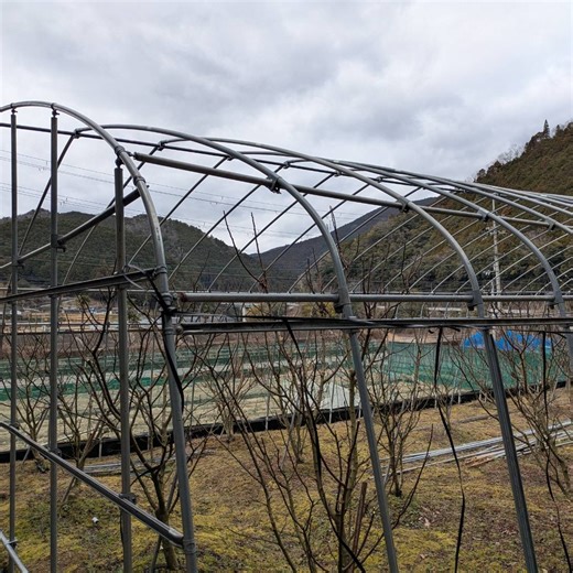 えびはら ゆういちろ | 【ぶどう山椒の栽培 冬の作業 ③】 1月某日、ビニールハウスを建てる準備をしました。 山椒は「実」を収穫する木は露地で栽培するのが一般的ですが、「花」を収穫する為の木はハウスで栽培することもあります。 花山椒はとても高価な食材です。... | Instagram