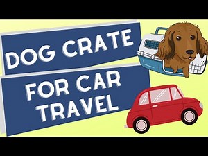 Dog Crate For Car Travel