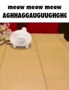 Meow Meow Meow AGHHAGGAUGUUGHGHG