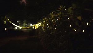 Watch solar string lights on Amazon Live