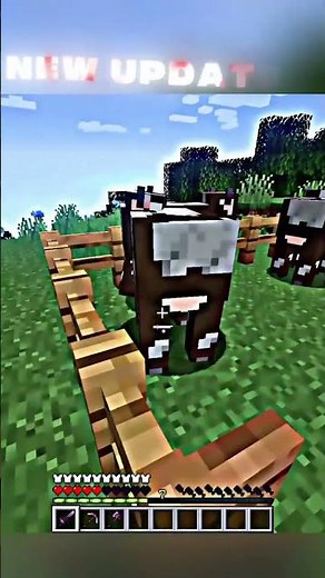 Flying Cows in MINECRAFT?! 🤯 #shorts #fyp #minecraft #minecraftshorts #memes