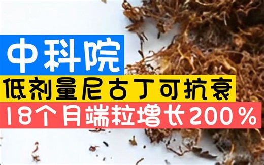 中科院：低剂量尼古丁可抗衰，18个月端粒增长200％