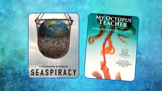 Top 4 Animal Documentaries On Netflix To Expand Your Wildlife Watchlist | Herzindagi