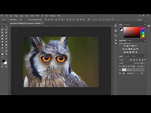 Photoshop Feather Selection Tool - How to apply feather | What is use of feather tool
